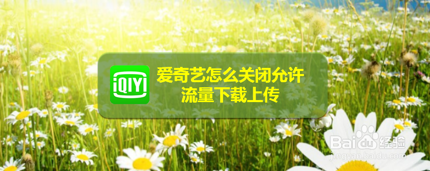 爱奇艺怎么关闭允许流量下载上传