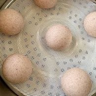 不点外卖159--全麦馒头