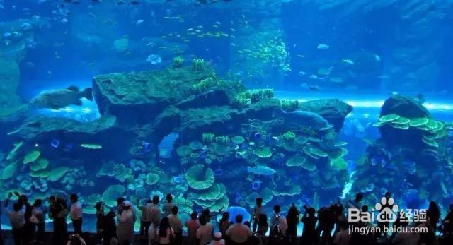 迪拜亲子游攻略