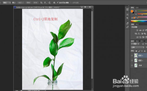 ps实用小技巧：快速抠出植物