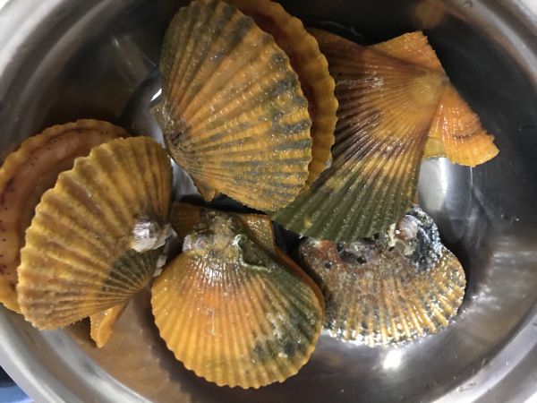蒜蓉粉丝蒸扇贝带子