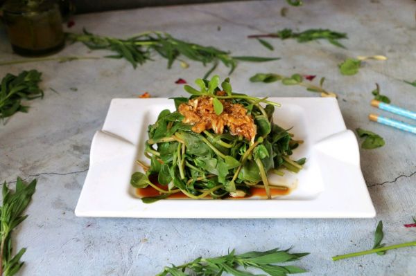 野味小菜凉拌马齿苋