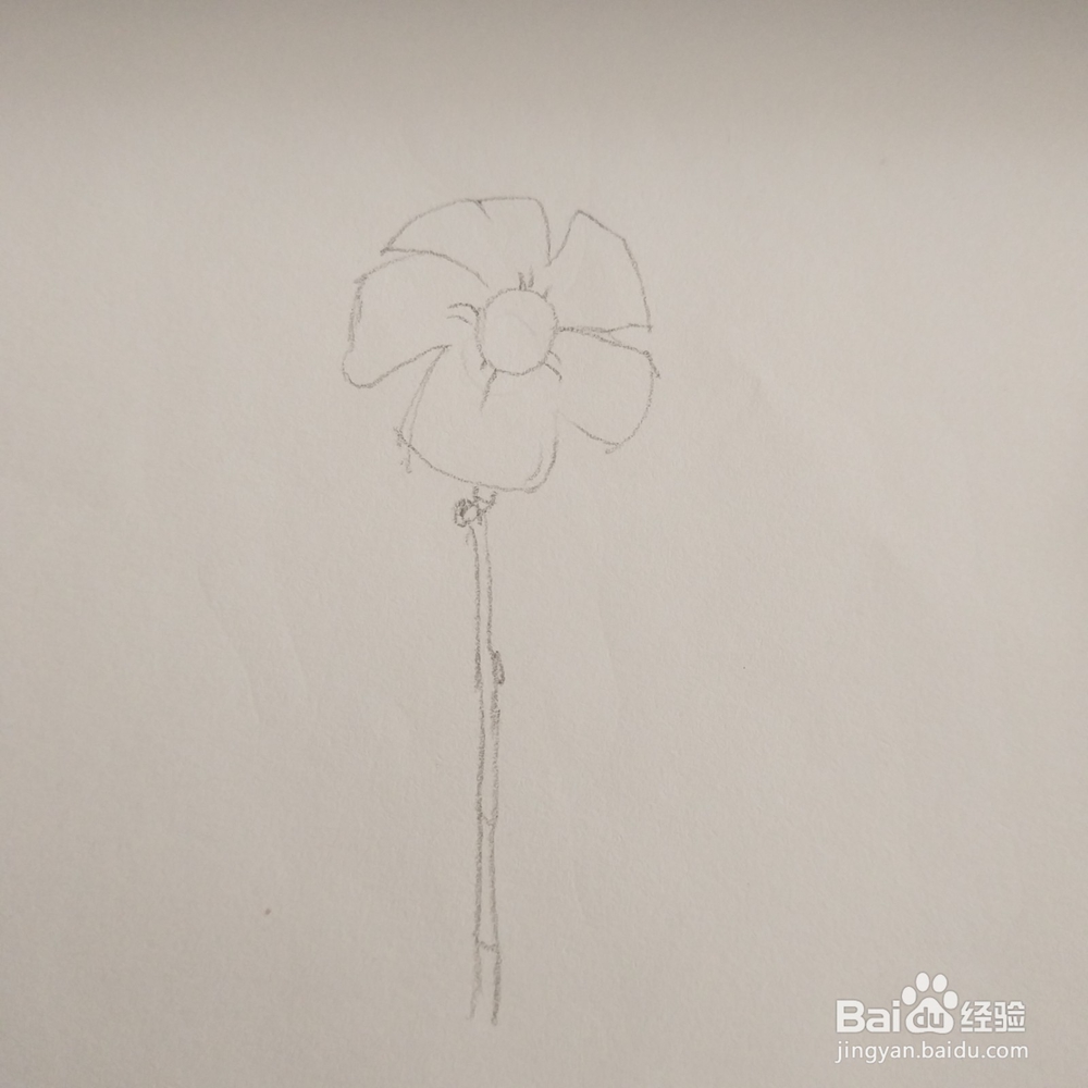 简笔画36:花朵画法