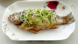 如何做清蒸鲈鱼?