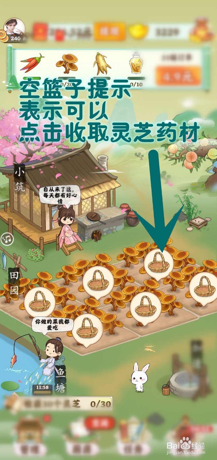 如何在仙山小筑游戏里种植灵芝药材