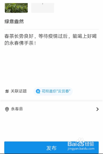 花呗云赏春方法