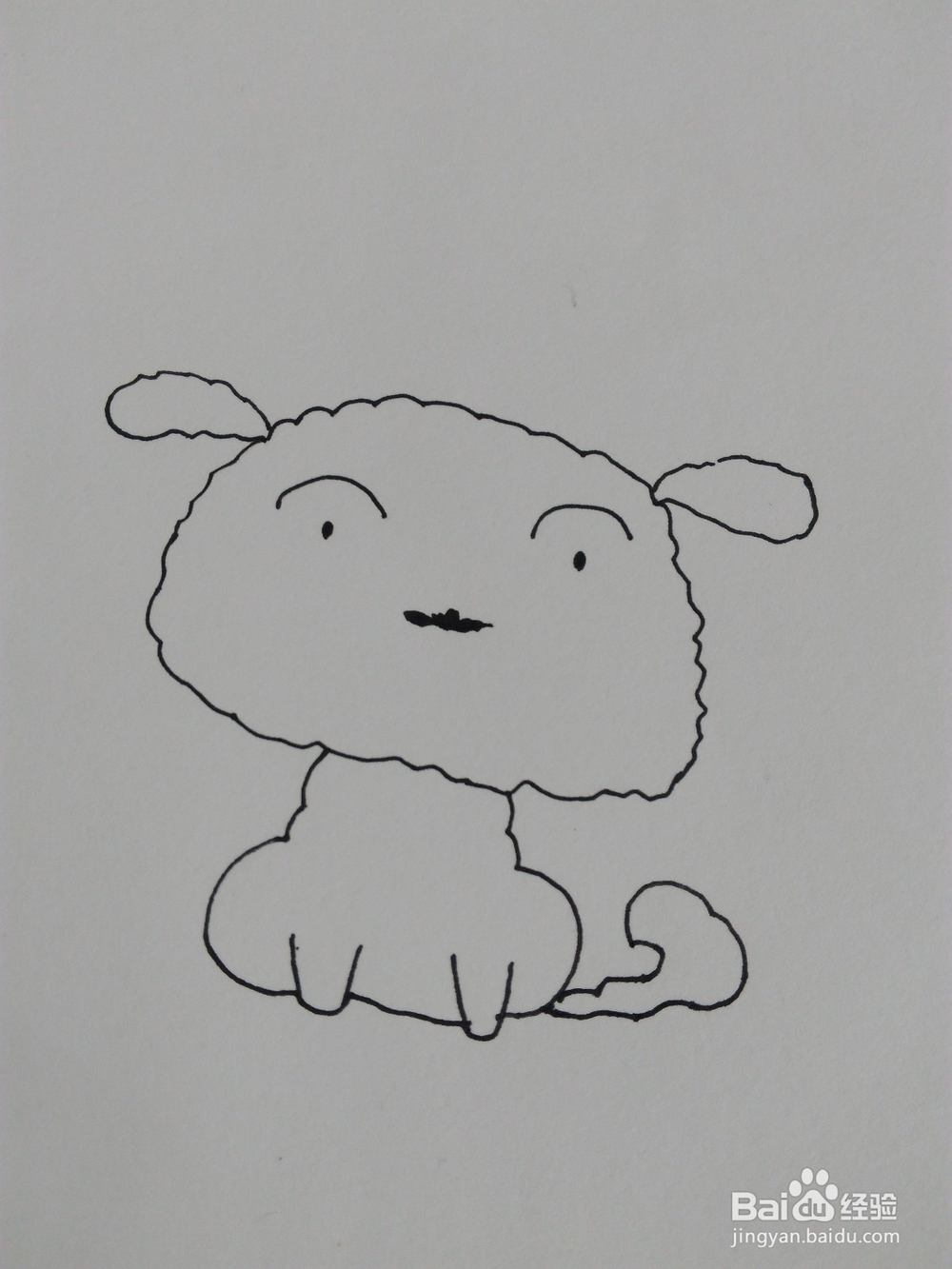 简笔画：画一只萌萌哒小白