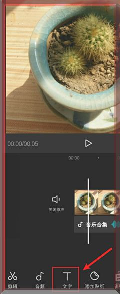 视频怎么添加带拼音的字幕