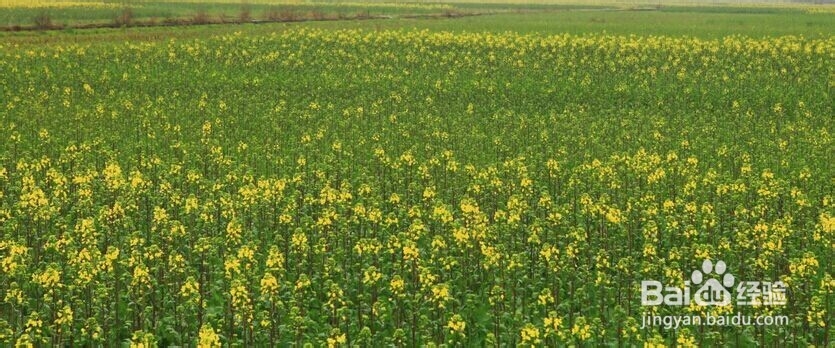 分手了就忘了吧