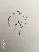 苹果树简笔画