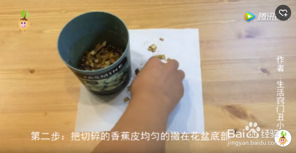 如何用香蕉皮自制花肥养薄荷?