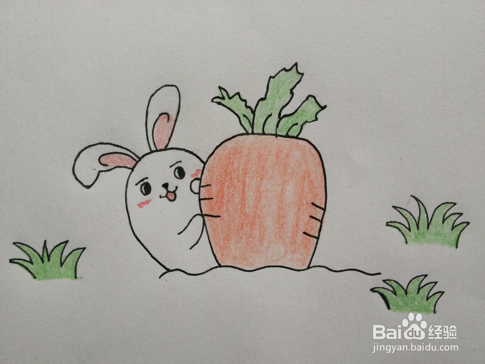 简笔画——怎么画小兔子和胡萝卜