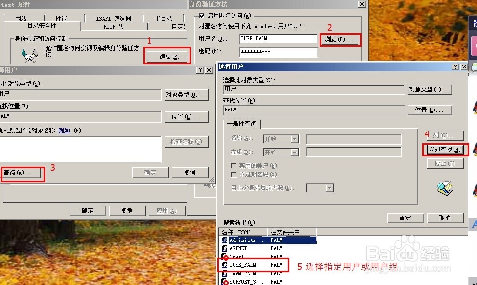 iis新建网站即网站配置