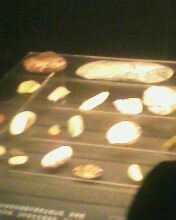 太阳神鸟——金沙遗址游览