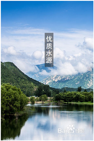 千禾味业酿造秘诀
