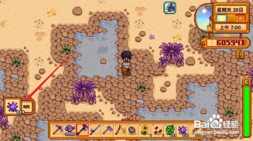 星露谷物语怎么获得海胆