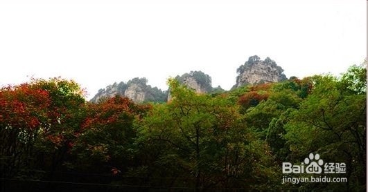 五月去济南旅游，有哪些值得一去的地方呢