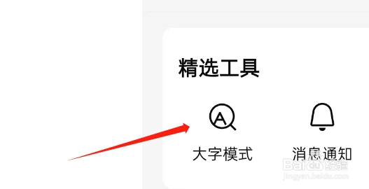 有柿APP如何开启大字模式
