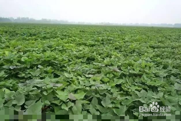 如何快速缓解工作的压力