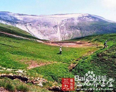 清明节踏青好去处