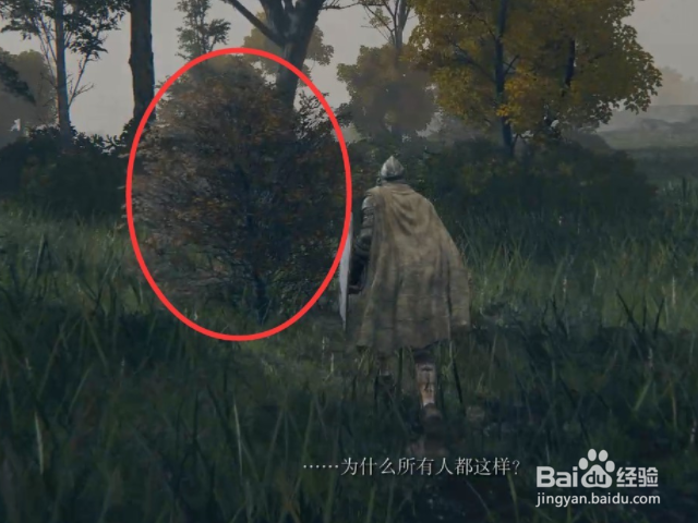 《艾尔登法环》亚基尔湖北方攻略