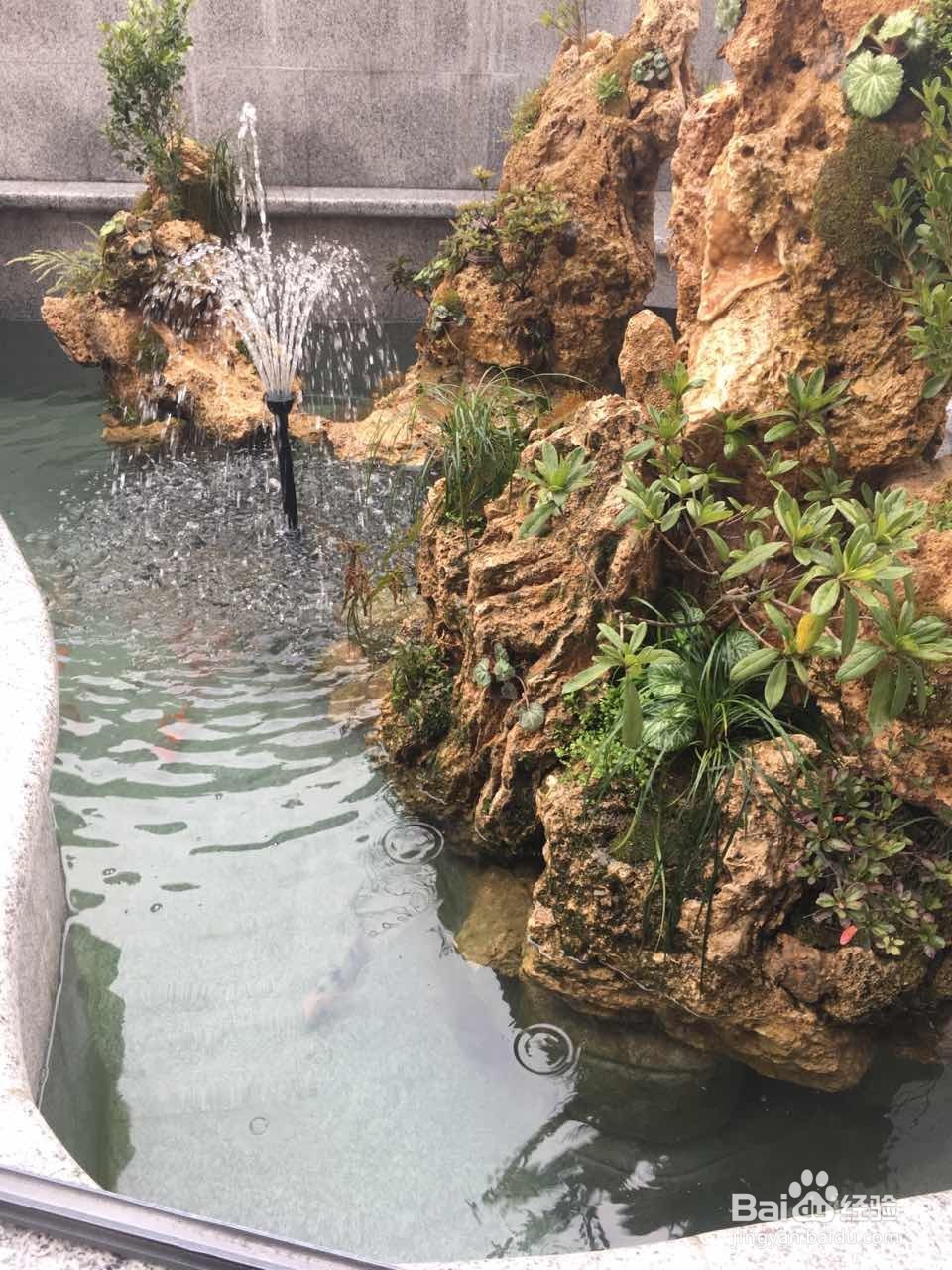 庭院景观鱼池过滤器