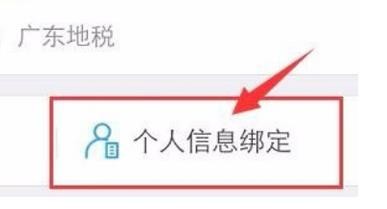 怎样查社保缴费明细