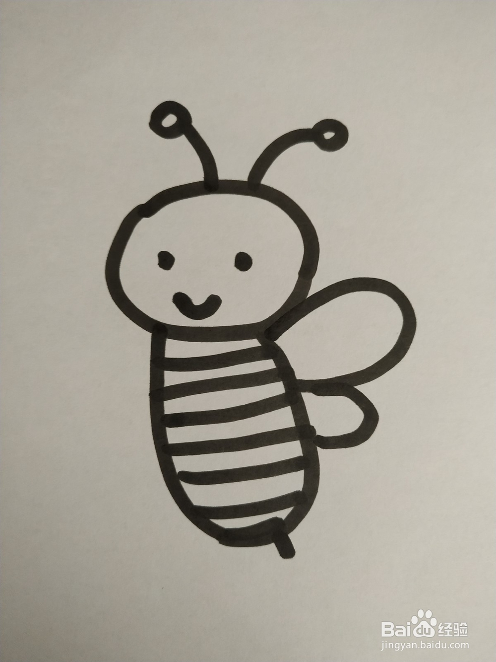 蜜蜂的简笔画技法3