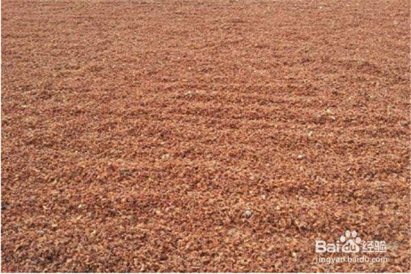 八角烘干方法和八角烘干机的选择