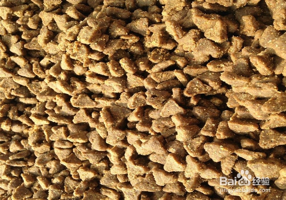 返乡农民工回家养殖盘步骤？