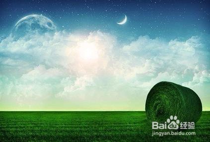 大学毕业后可能会面临的问题