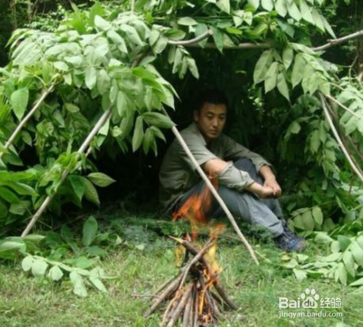 野外求生中如何徒手搭建庇护所