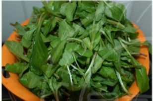 最经典也最春天--香干马兰头