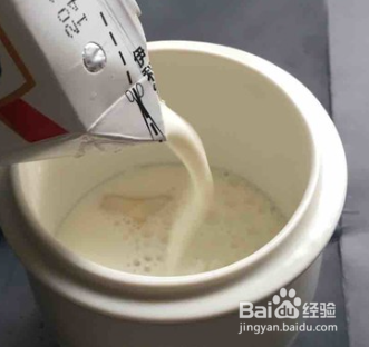 怎样做牛奶花胶