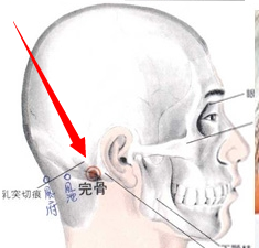完骨穴穴位位置图及作用