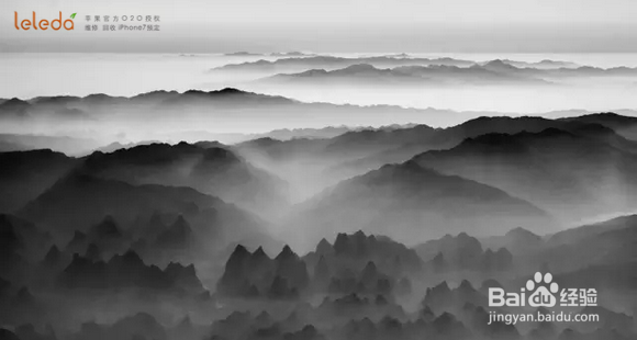 怎样用iPhone拍出更好的照片？？