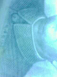 怎样辨别人民币的真假