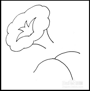 怎样画简笔画（花卉）：[7]牵牛花