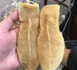 花胶的功效与作用及食用方法