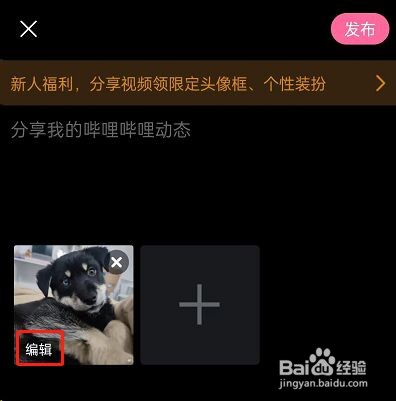 哔哩哔哩动态怎么添加标签?