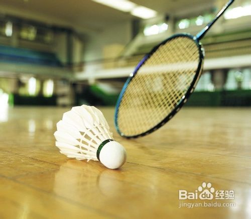 羽毛球交换场区裁判要怎么做