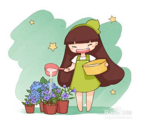 淘米水浇花前加点料，绿萝吊兰猛蹿疯长，再也不黄叶！