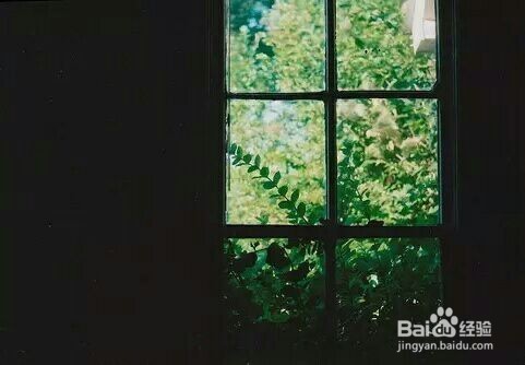 呢面料衣服长时间不穿腐化了怎么办？