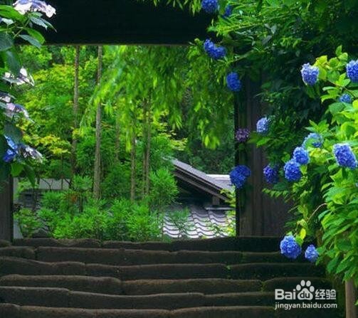 如何永久的删除文件