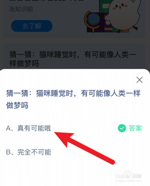 猫咪睡觉时有可能像人类一样做梦吗蚂蚁庄园