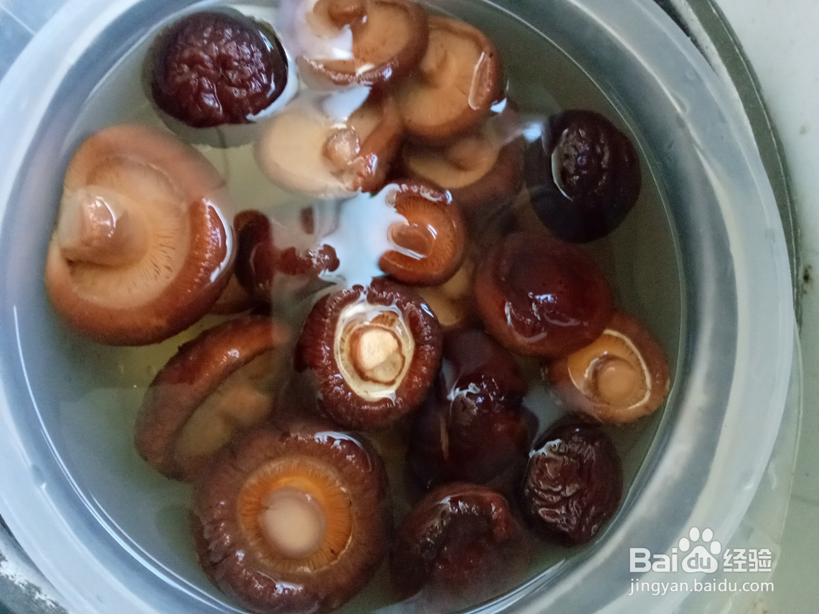 杂蔬鸡蛋馅饺子