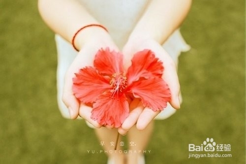 如何走出 失恋的阴影