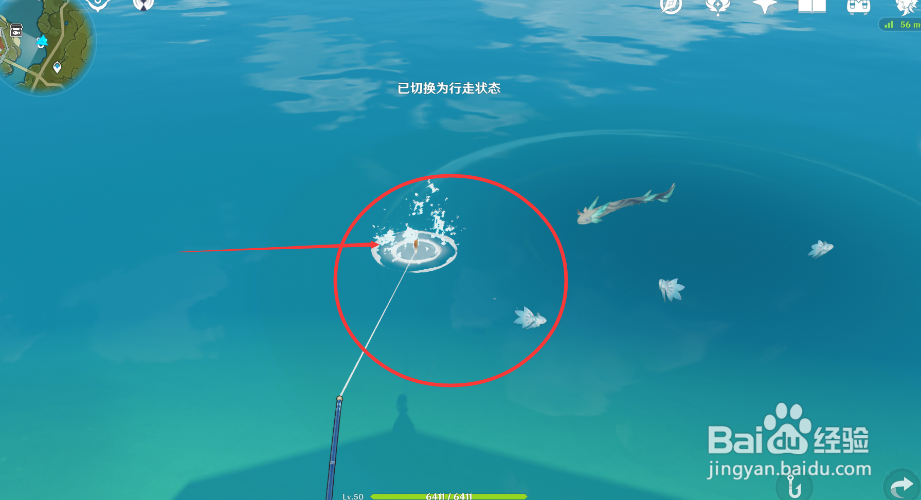 原神蓝染花鳉怎么钓