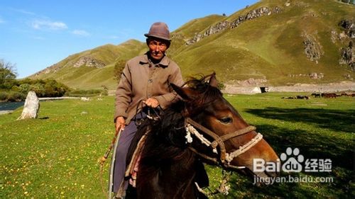 天山深处的绿岛那拉提游记攻略
