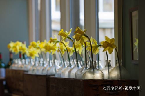 水仙花水培怎么养会开花 百度经验